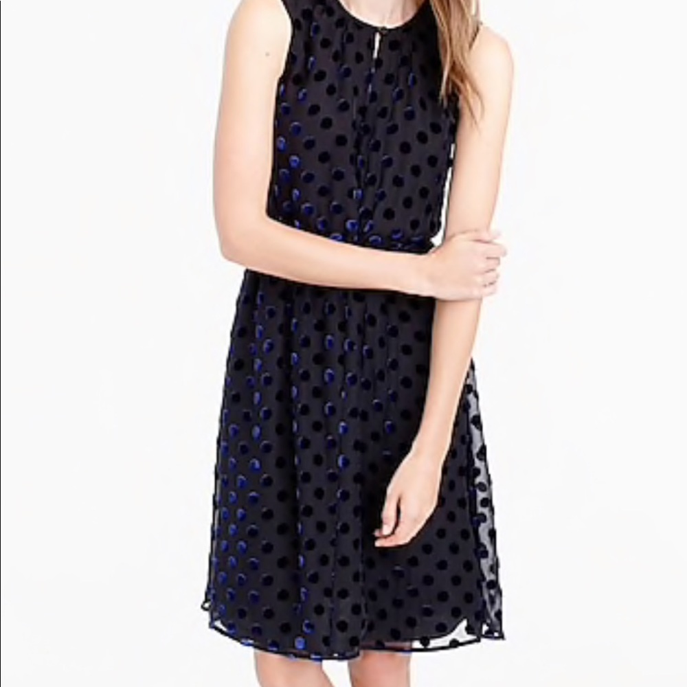 J. Crew Velvet Polka Dot Dress